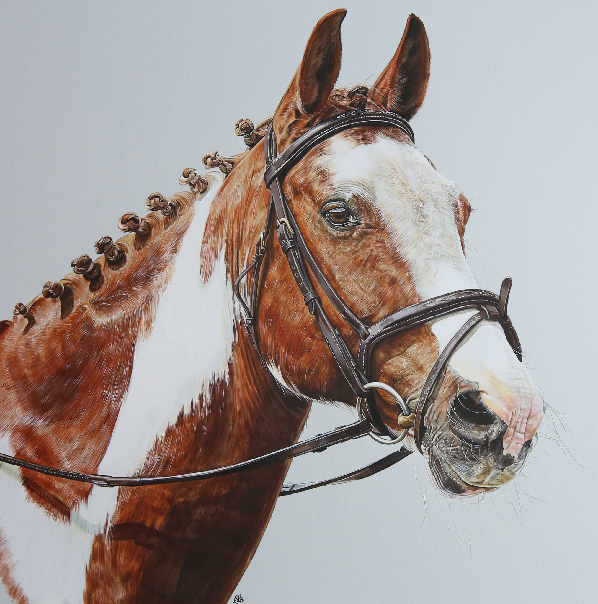 Caren`s Artworks - A Portrait Artist Who Specialises In Equine Original Artwork